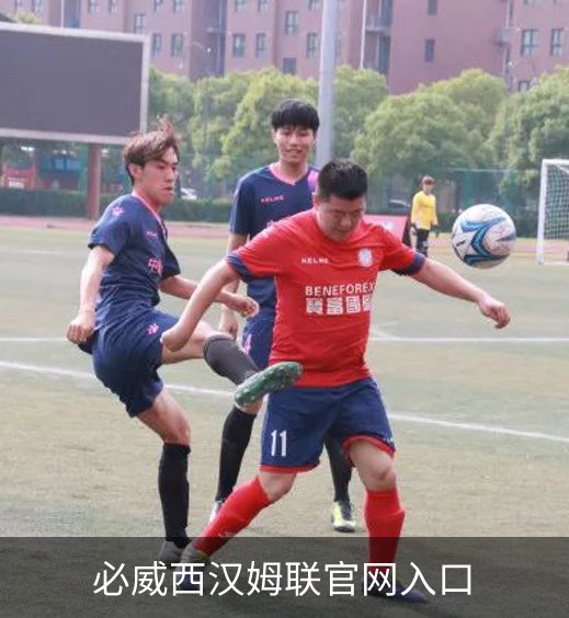 了解必威西汉姆联官网入口